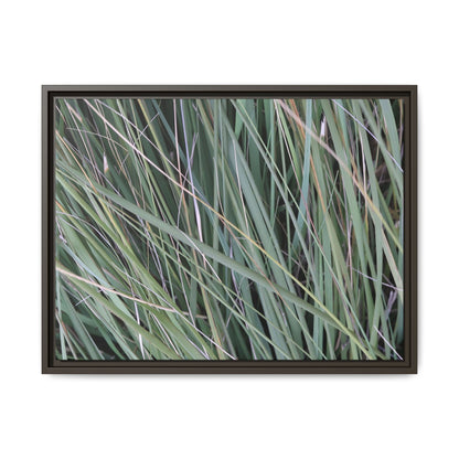 Grassland Symphony - Unique Stretched Canvas Wall Art - Art By Earth