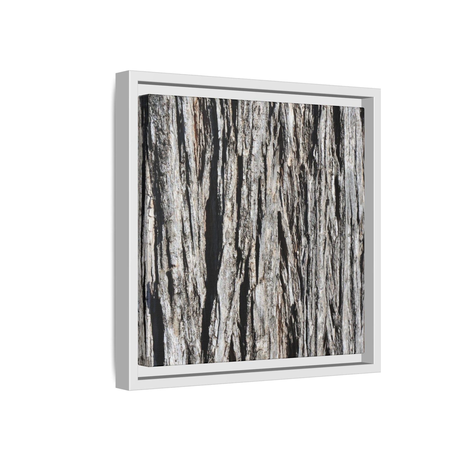 Nature's Abstract - Unique Stretched Canvas Wall Art - Art By Earth
