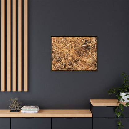 Dried Grass - Unique Stretched Canvas Wall Art - Art By Earth