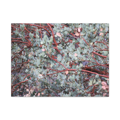 Whispers of Silver and Rust - Unique Frameless Canvas Wall Art - Art By Earth