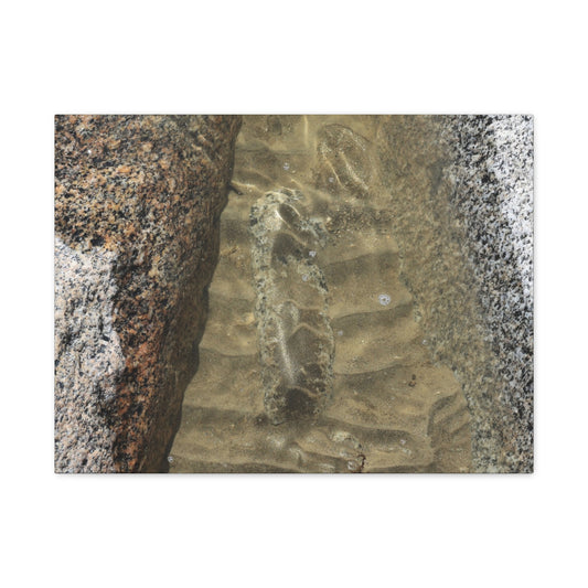 Weathered Concrete Gap - Unique Frameless Canvas Wall Art - Art By Earth