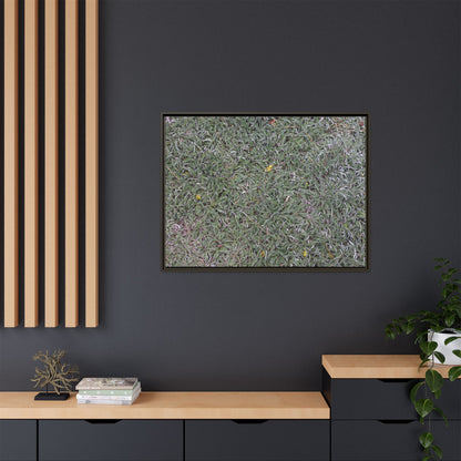 Grassy Texture - Unique Stretched Canvas Wall Art - Art By Earth
