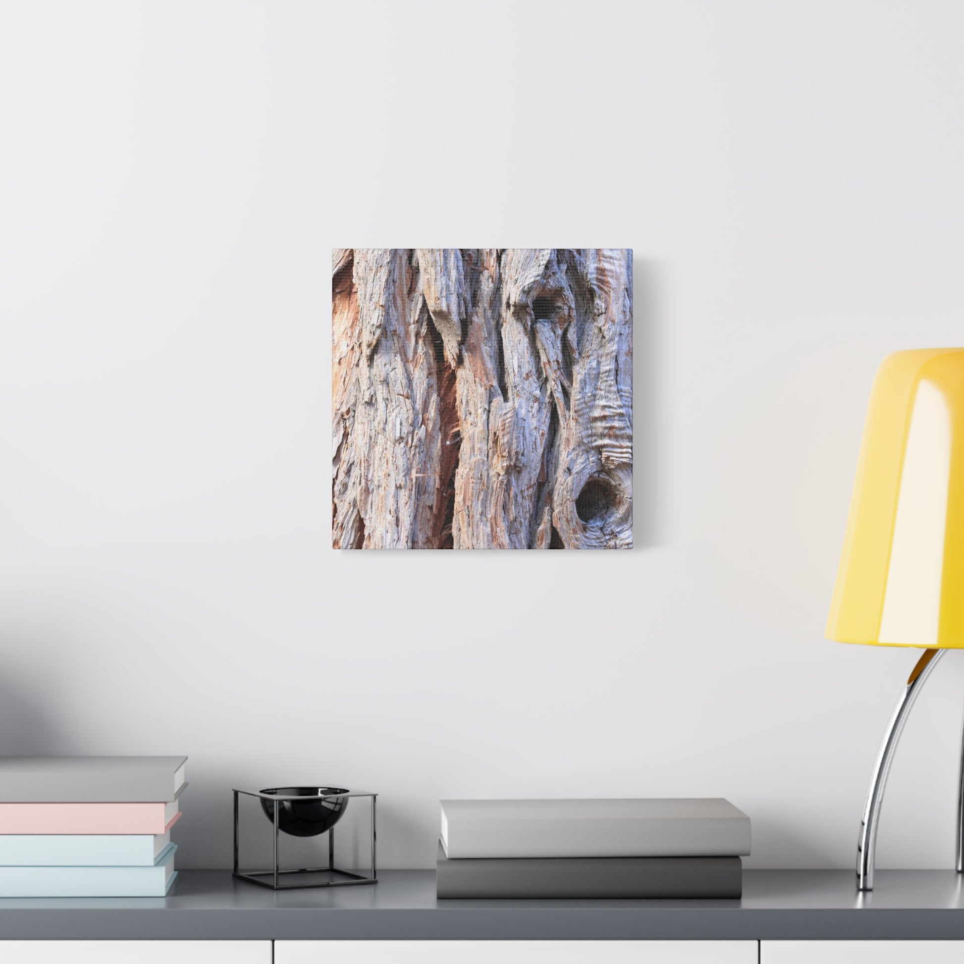 Aged Bark Surface - Unique Frameless Canvas Wall Art - Art By Earth