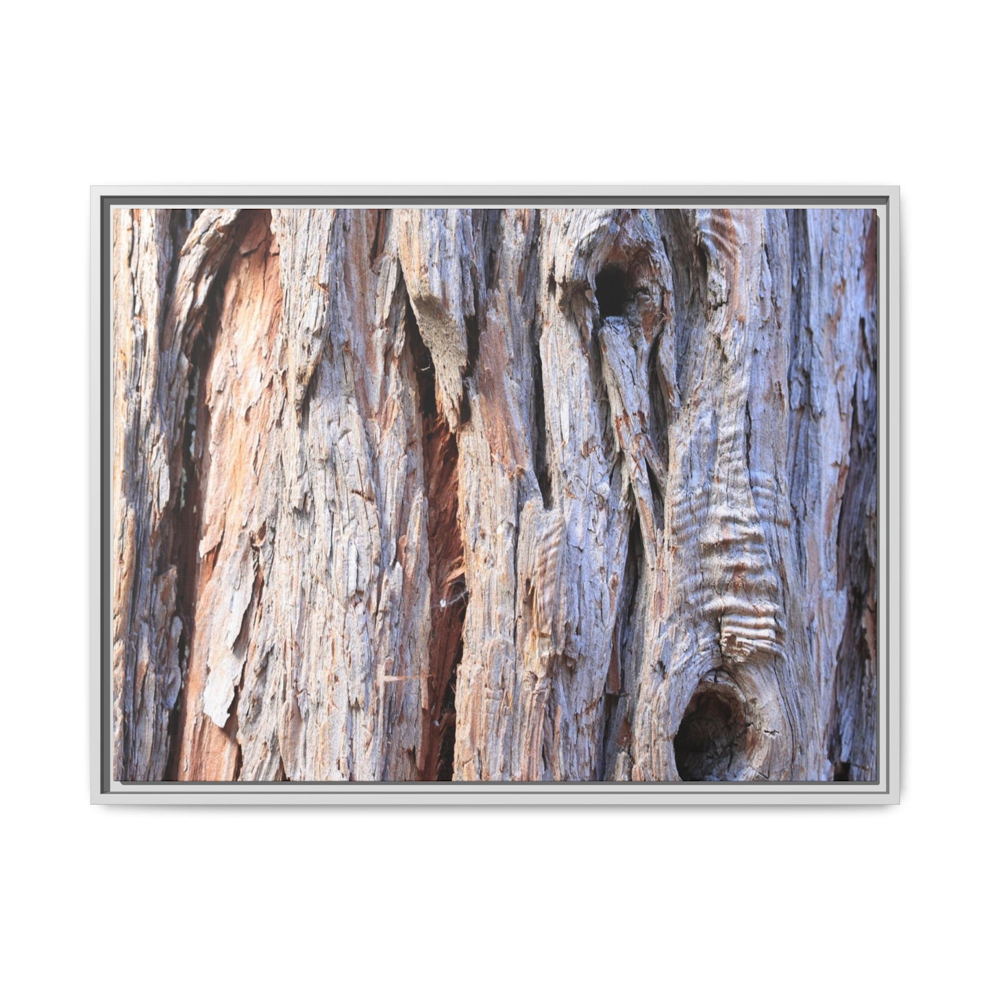 Nature's Grain - Unique Stretched Canvas Wall Art - Art By Earth