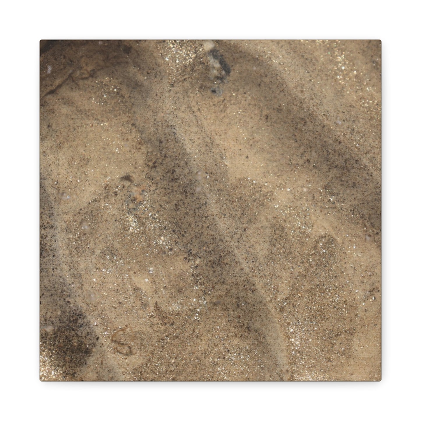Shallow Waters - Unique Frameless Canvas Wall Art - Art By Earth