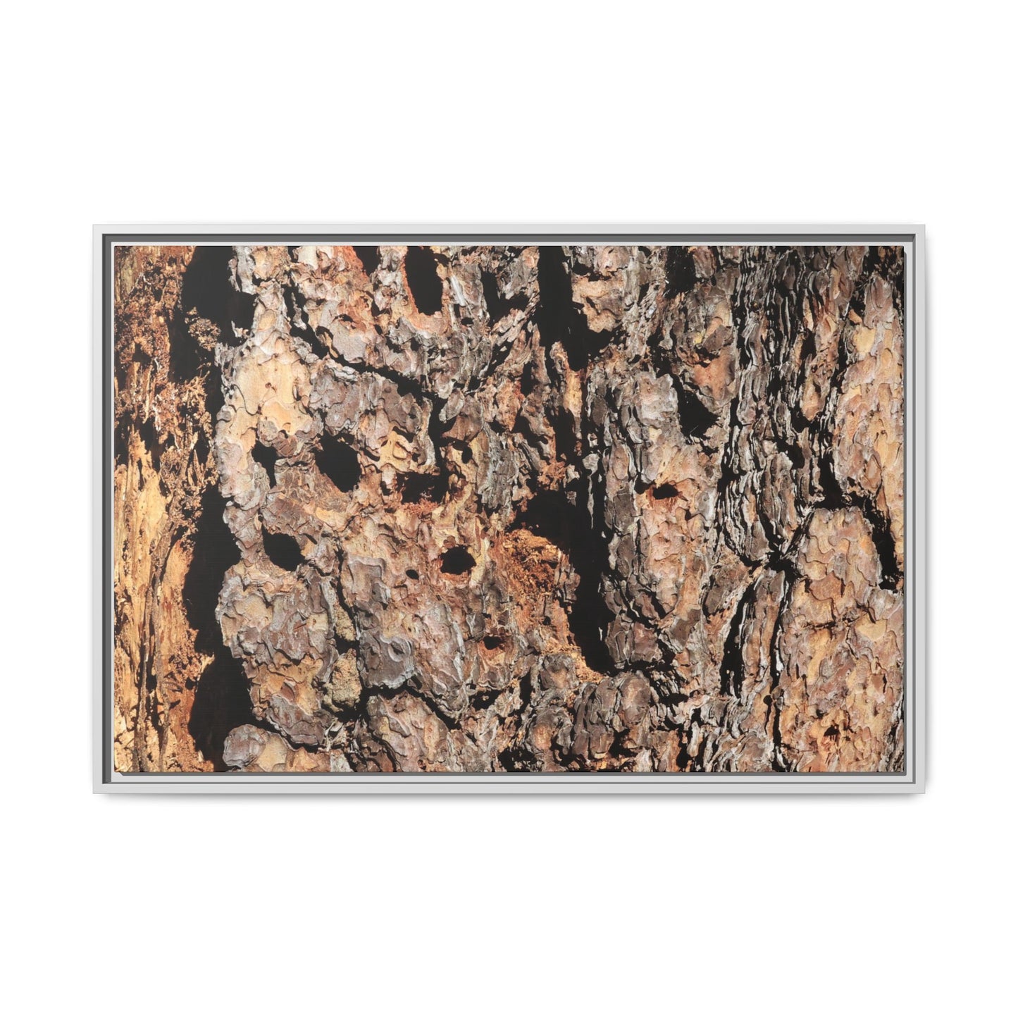 Rugged Rhythms - Unique Stretched Canvas Wall Art - Art By Earth