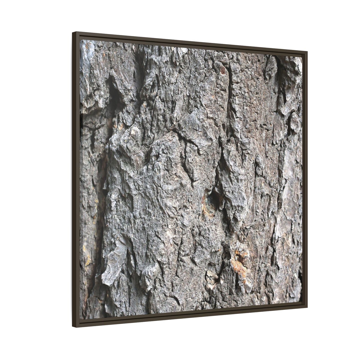 Crusty Exterior - Unique Stretched Canvas Wall Art - Art By Earth