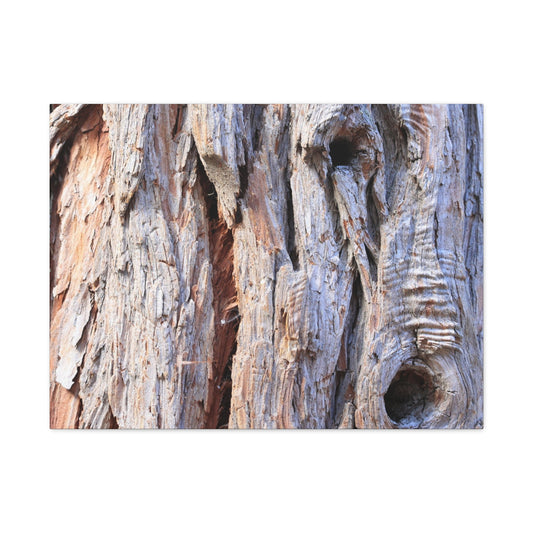 Aged Bark Surface - Unique Frameless Canvas Wall Art - Art By Earth