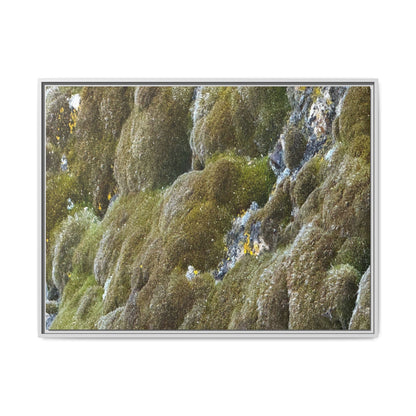 Moss Symphony - Unique Stretched Canvas Wall Art