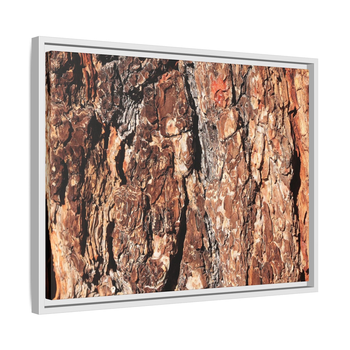 Nature's Rugged Canvas - Unique Stretched Canvas Wall Art