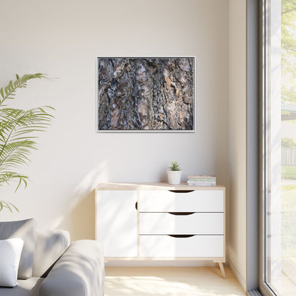 Weathered Patterns - Unique Stretched Canvas Wall Art - Art By Earth