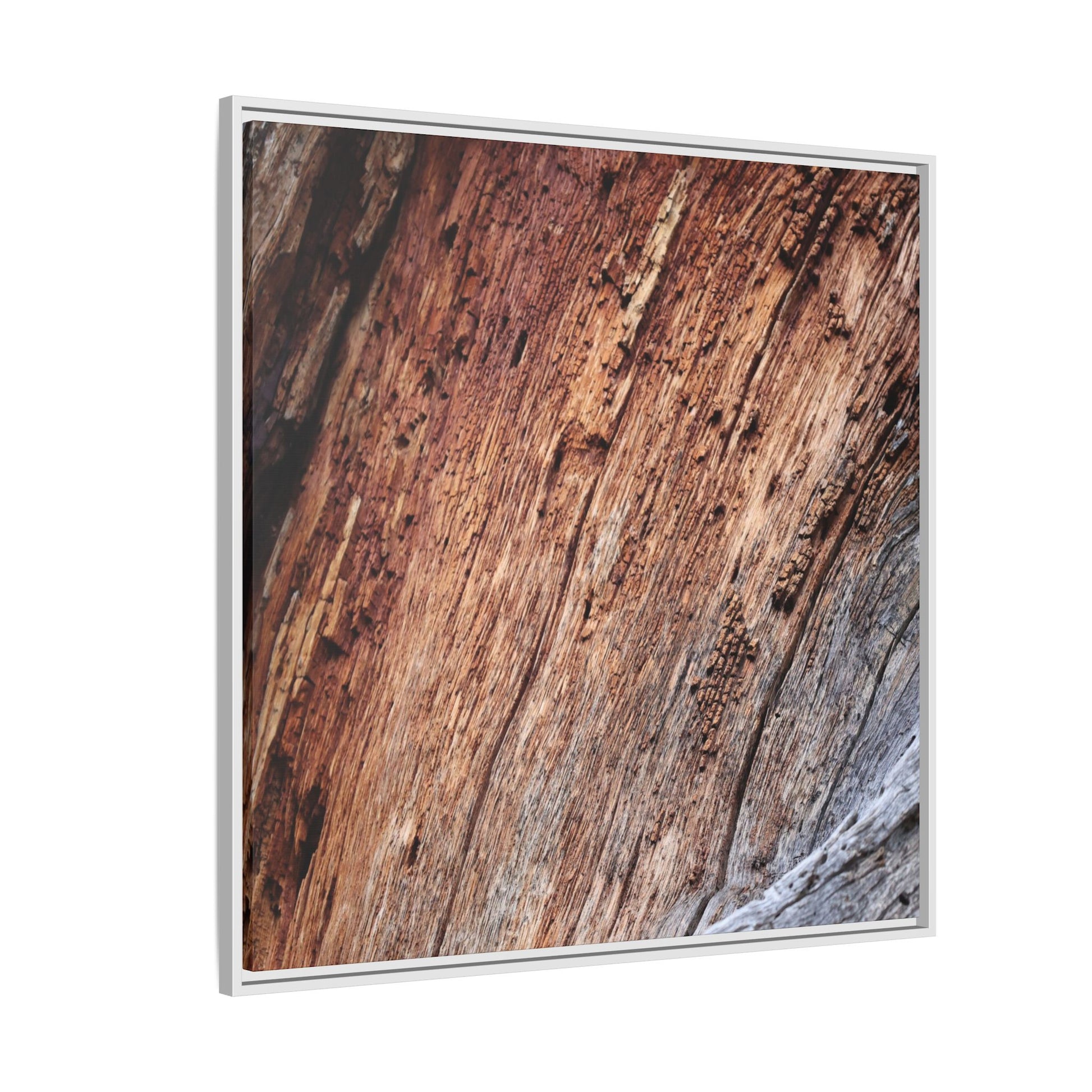 Time's Mark - Unique Stretched Canvas Wall Art - Art By Earth