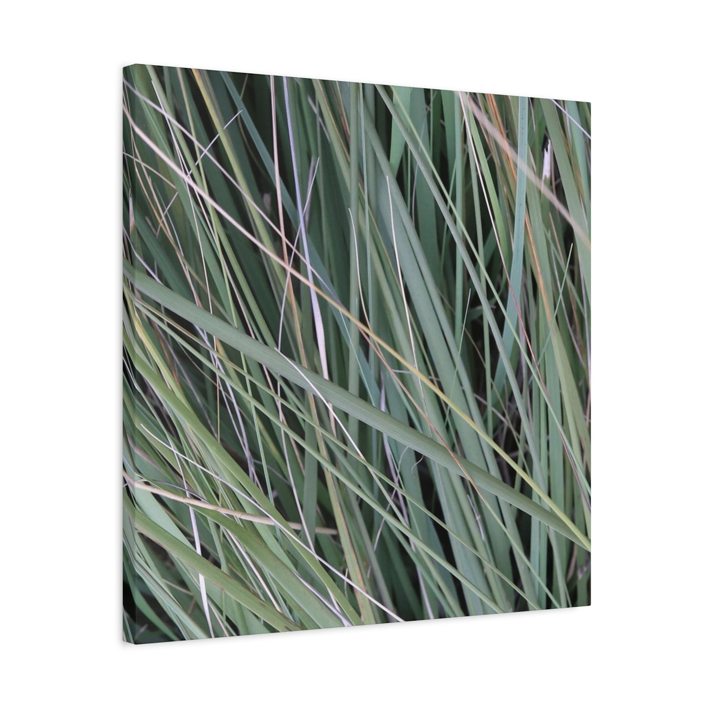 Whispers of Green - Unique Frameless Canvas Wall Art - Art By Earth