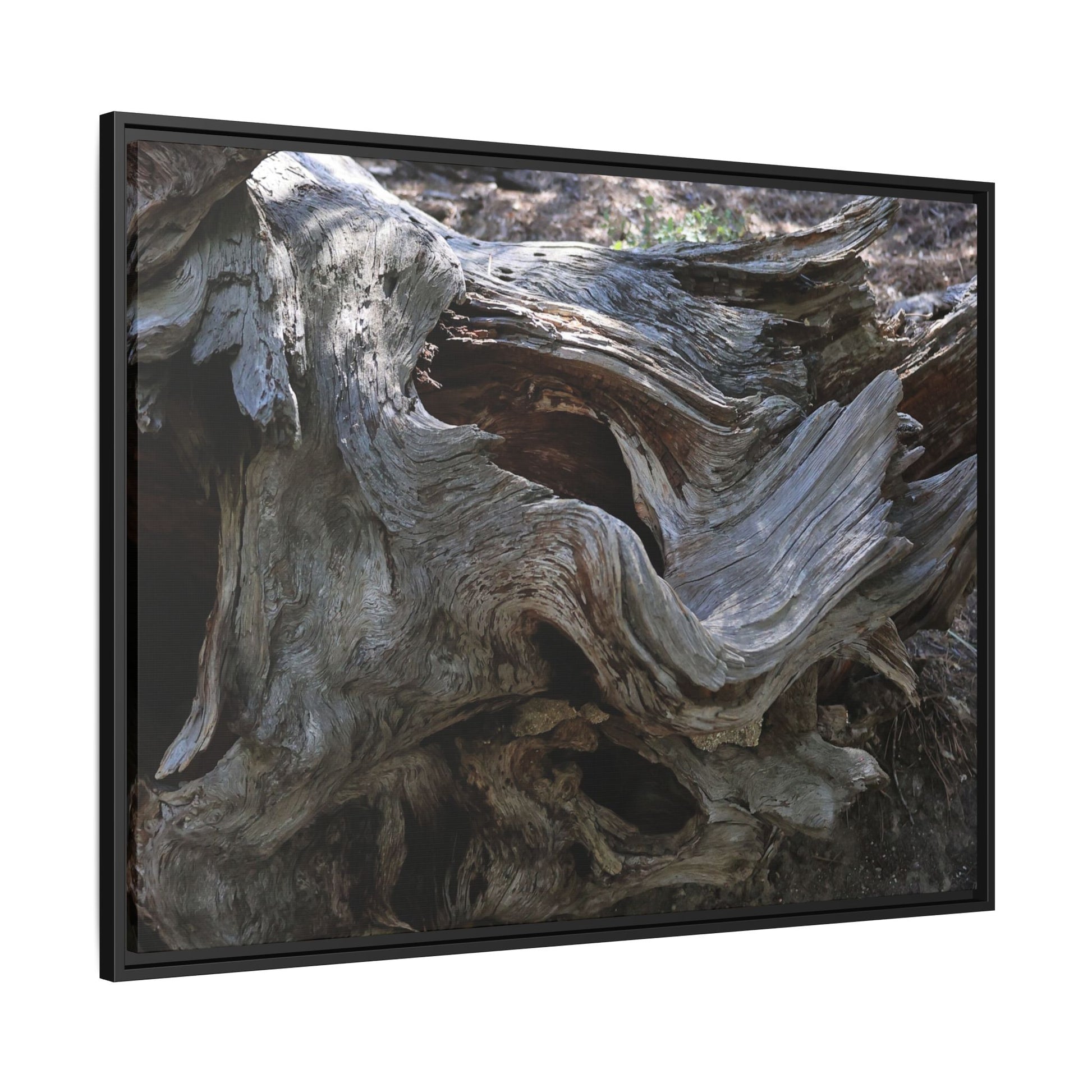 Twisted Memories - Unique Stretched Canvas Wall Art - Art By Earth