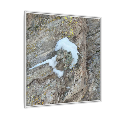 Lichen's Embrace - Unique Stretched Canvas Wall Art