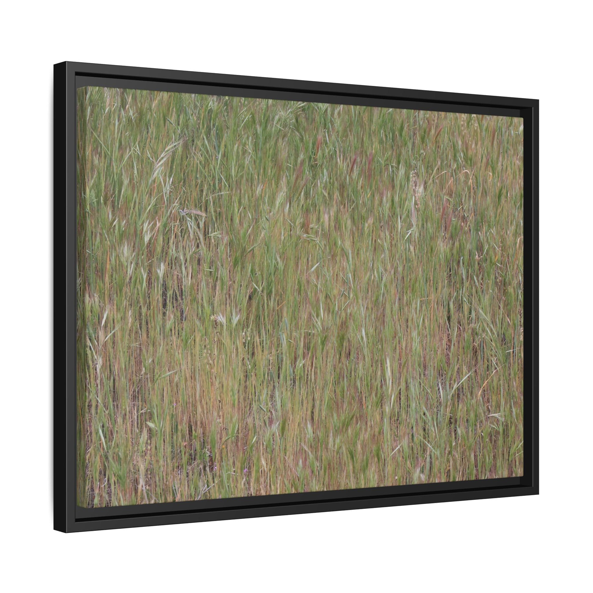Field of Dreams - Unique Stretched Canvas Wall Art - Art By Earth