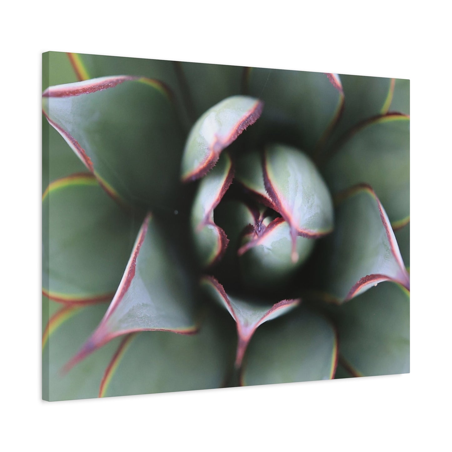 Emerald Spiral - Unique Frameless Canvas Wall Art - Art By Earth