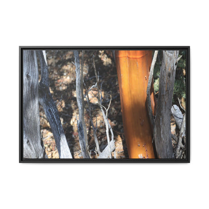 Burnt Trees and Golden Trunk - Unique Stretched Canvas Wall Art