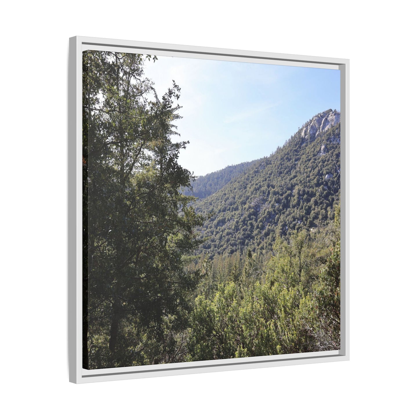 Mountain Valley Forest - Unique Stretched Canvas Wall Art