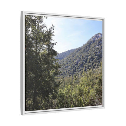Mountain Valley Forest - Unique Stretched Canvas Wall Art