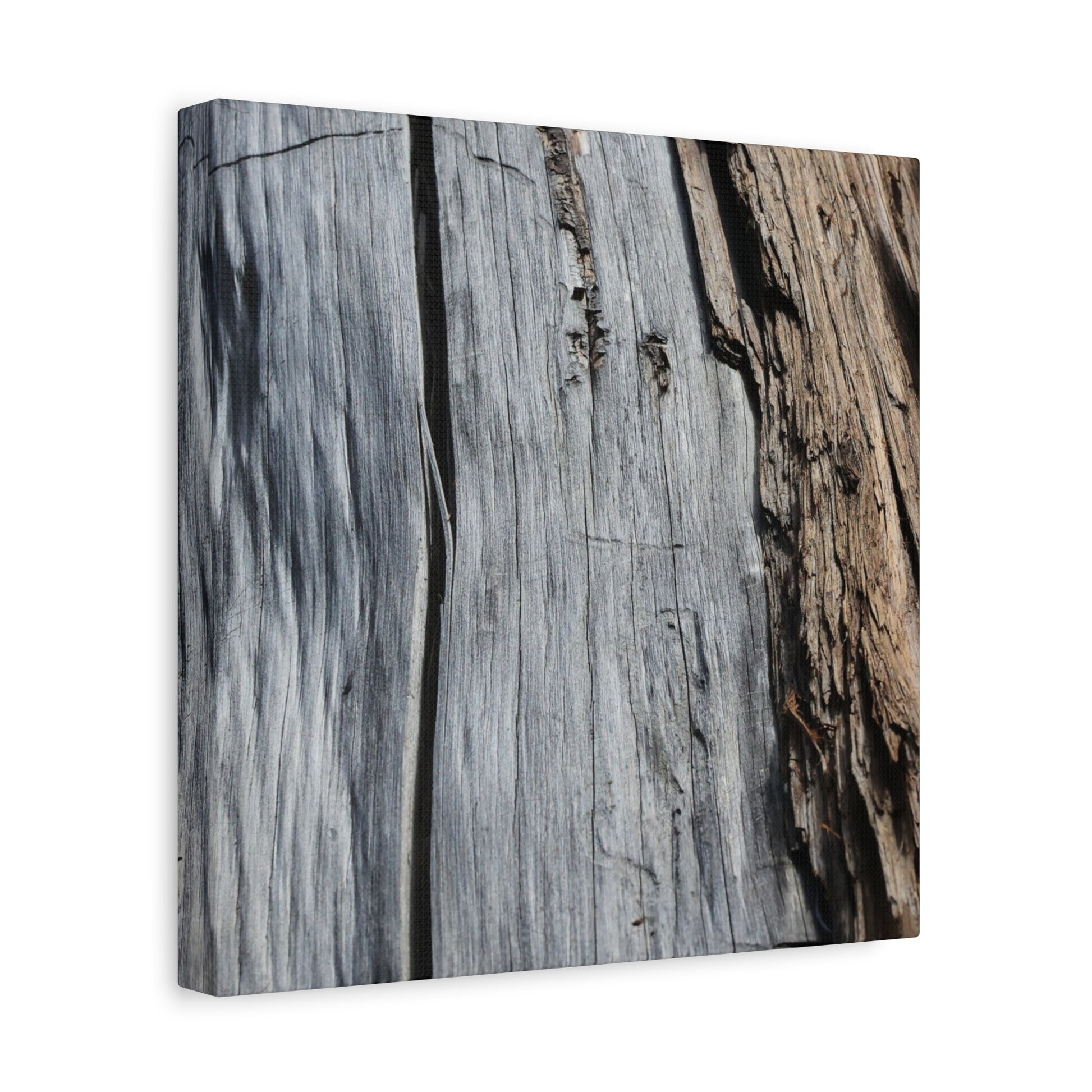 Fracture Lines - Unique Frameless Canvas Wall Art - Art By Earth