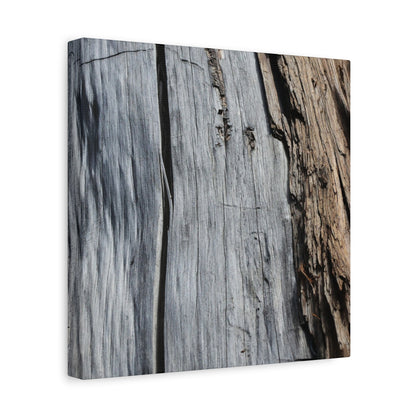 Fracture Lines - Unique Frameless Canvas Wall Art - Art By Earth
