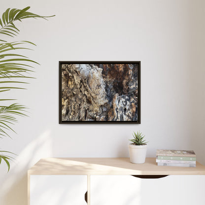 Ancient Tree Texture - Unique Stretched Canvas Wall Art - Art By Earth