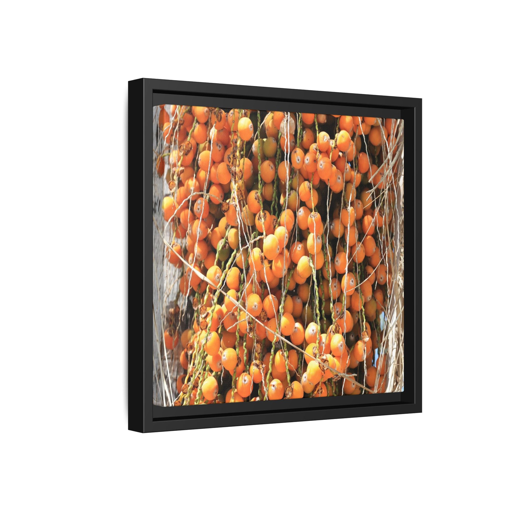 Clusters of Sunlight - Unique Canvas Wall Art - Art By Earth