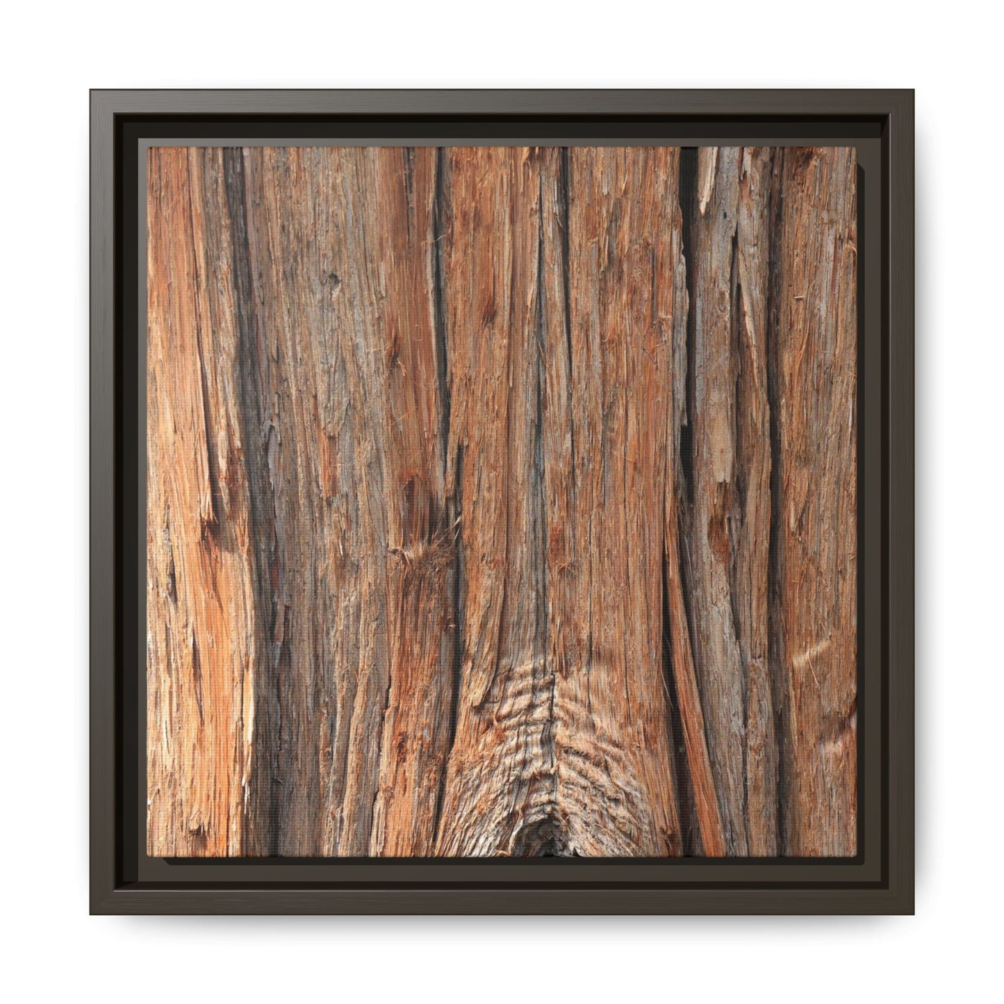 Echoes of Timber - Unique Stretched Canvas Wall Art - Art By Earth