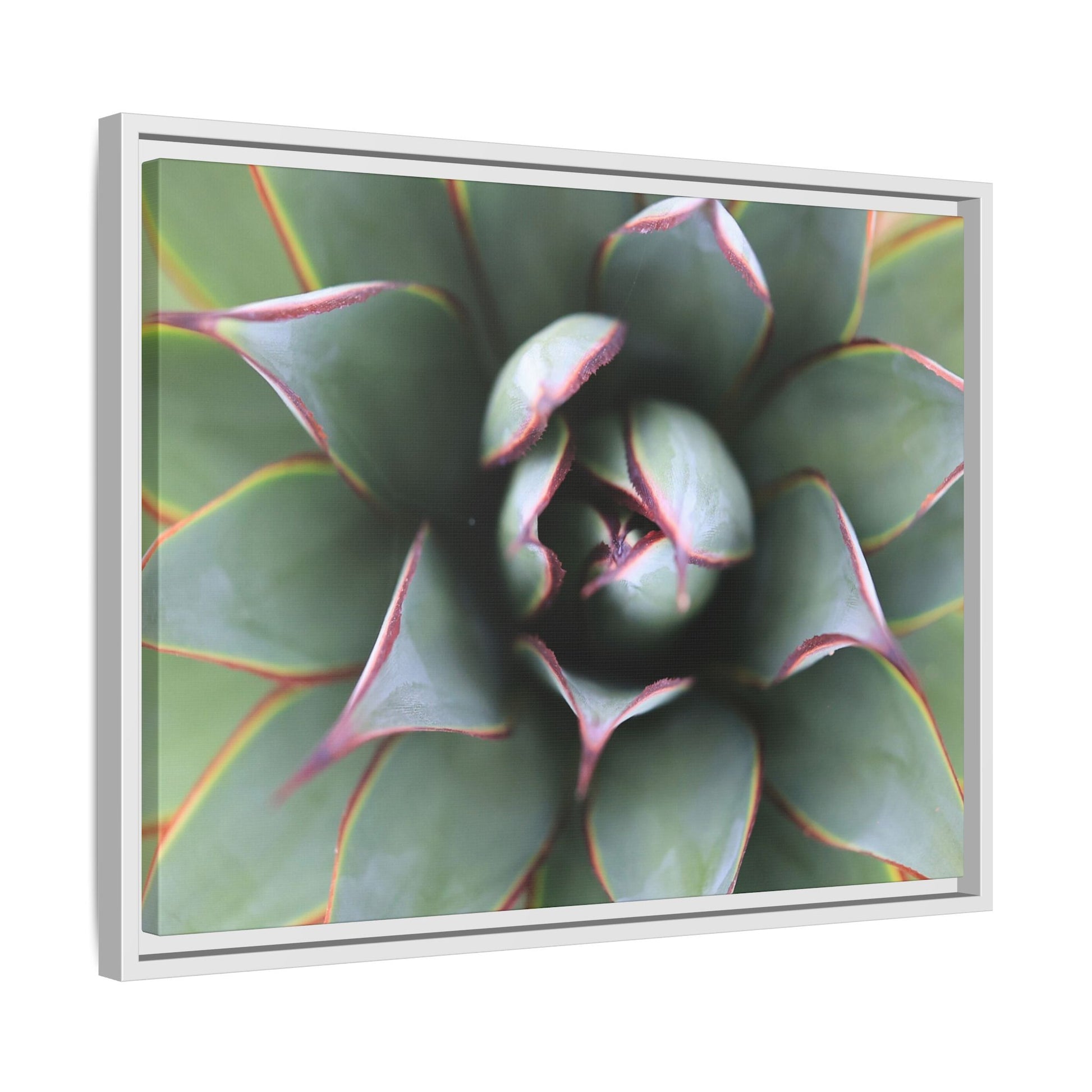 Spiky Elegance - Unique Stretched Canvas Wall Art - Art By Earth