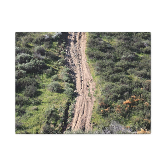 Straight Road Cutting Through Wilderness - Unique Frameless Canvas Wall Art - Art By Earth