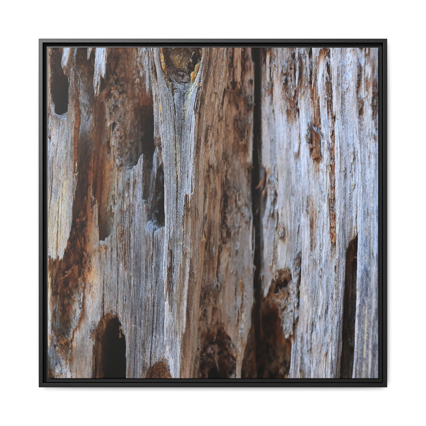 Decaying Splendor - Unique Stretched Canvas Wall Art - Art By Earth