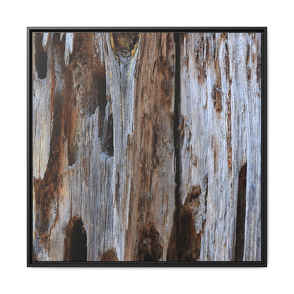 Decaying Splendor - Unique Stretched Canvas Wall Art - Art By Earth