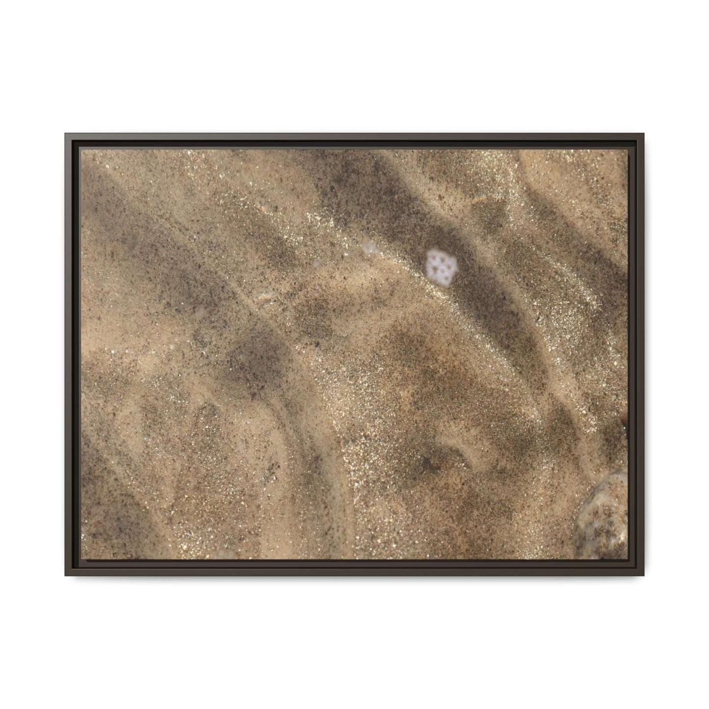 Underwater Sand Exploration - Unique Stretched Canvas Wall Art - Art By Earth