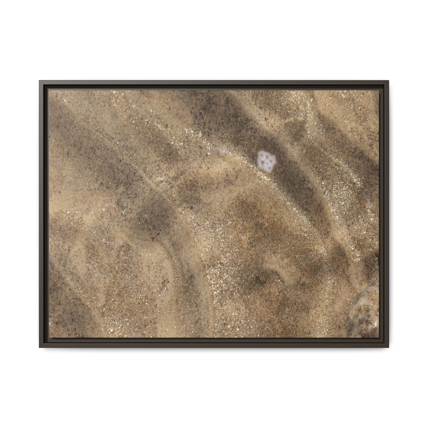 Underwater Sand Exploration - Unique Stretched Canvas Wall Art - Art By Earth