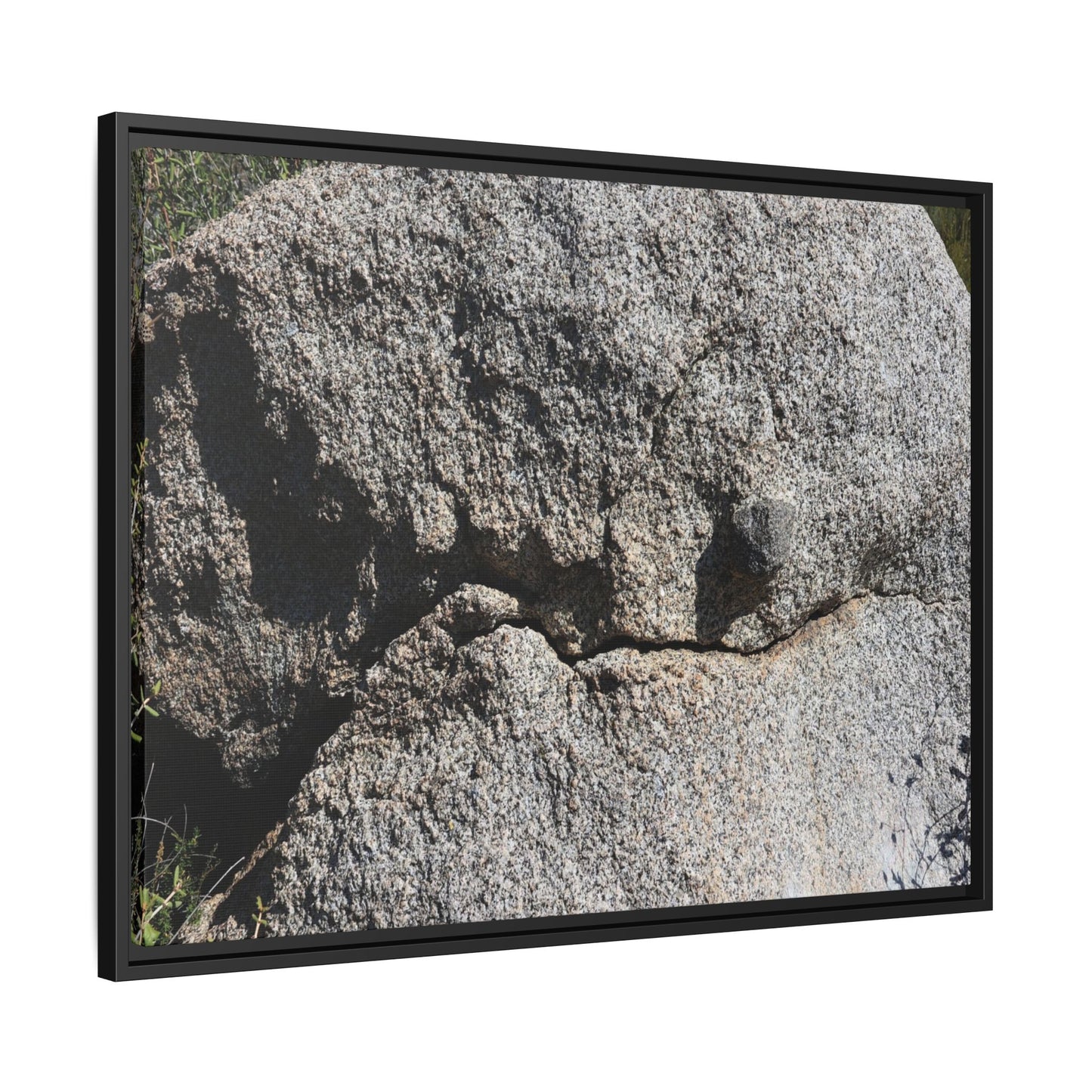Stone Skull in Desert - Unique Stretched Canvas Wall Art