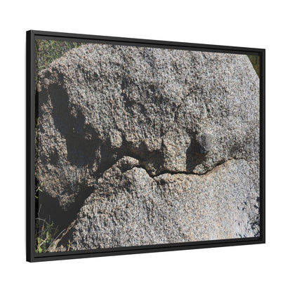 Stone Skull in Desert - Unique Stretched Canvas Wall Art