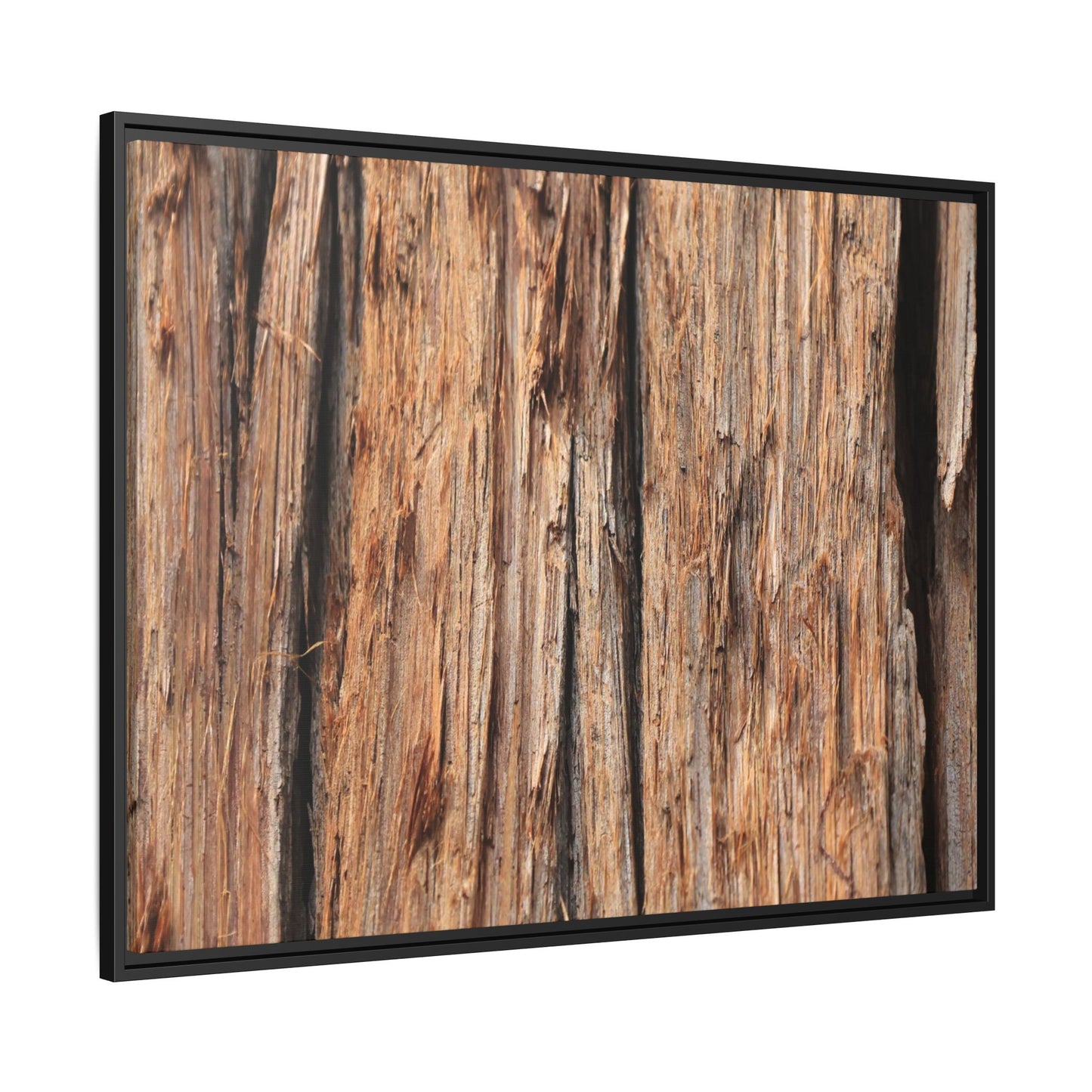 Timber Echoes - Unique Stretched Canvas Wall Art - Art By Earth