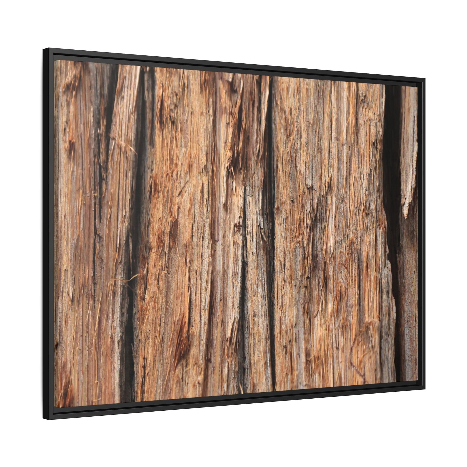 Timber Echoes - Unique Stretched Canvas Wall Art - Art By Earth