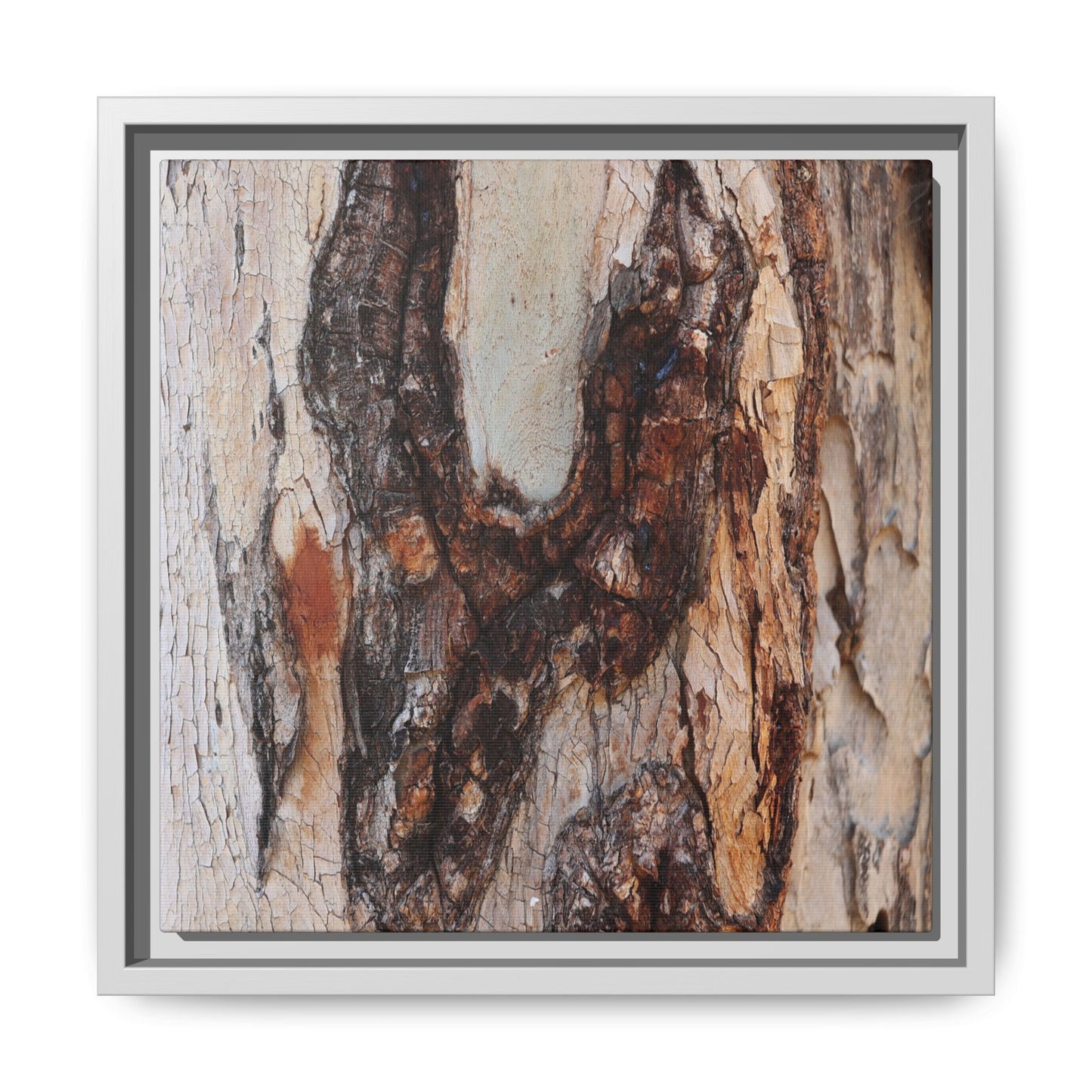 Texture of Time - Unique Stretched Canvas Wall Art - Art By Earth