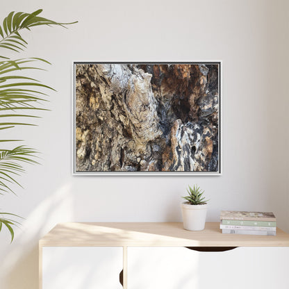 Ancient Tree Texture - Unique Stretched Canvas Wall Art - Art By Earth