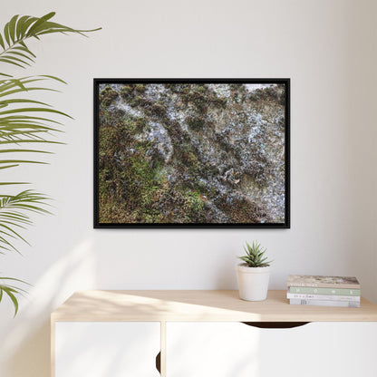 Mossy Whispers - Unique Stretched Canvas Wall Art - Art By Earth