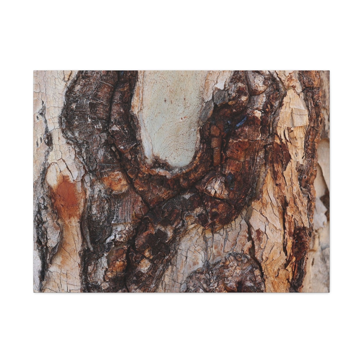 Arboreal Echoes - Unique Frameless Canvas Wall Art - Art By Earth