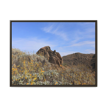 Golden Flowers in Arid Landscape - Unique Stretched Canvas Wall Art - Art By Earth