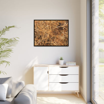 Dried Grass - Unique Stretched Canvas Wall Art - Art By Earth