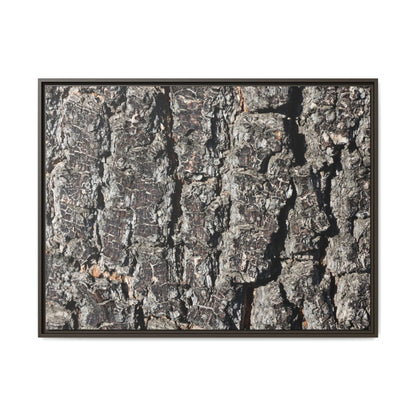 Bark Study in Gray - Unique Stretched Canvas Wall Art - Art By Earth