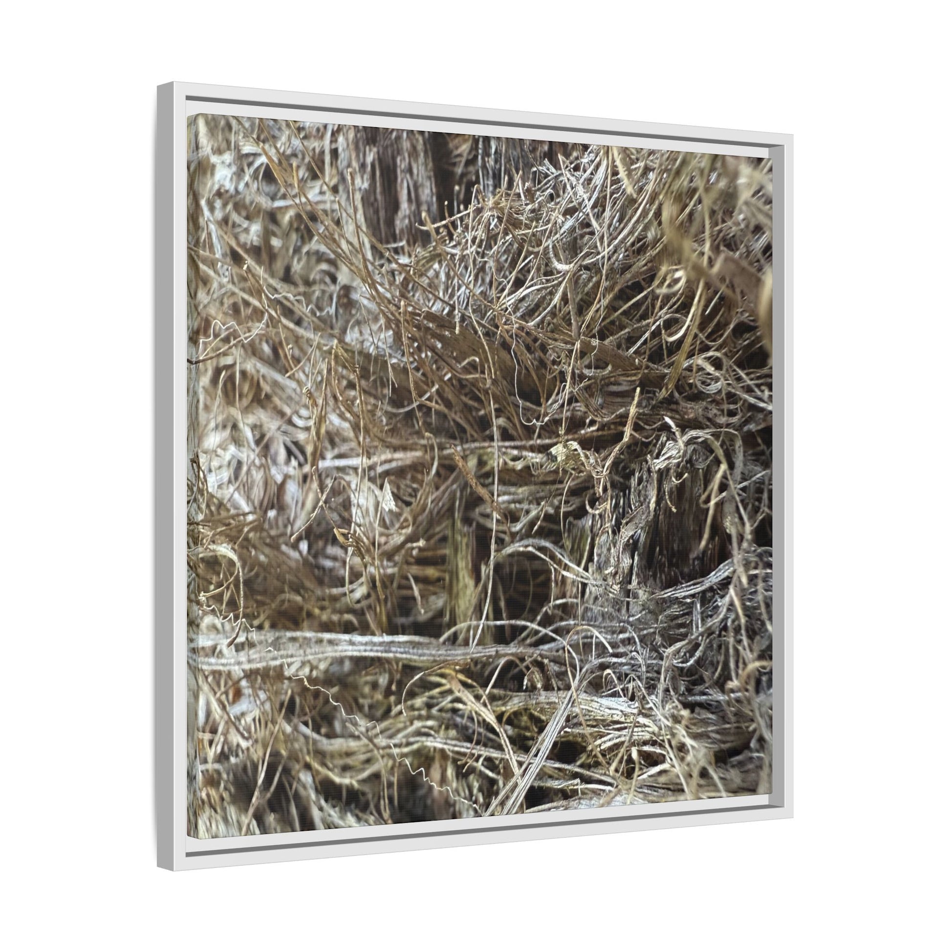 Tangled Whispers of Autumn - Unique Stretched Canvas Wall Art - Art By Earth