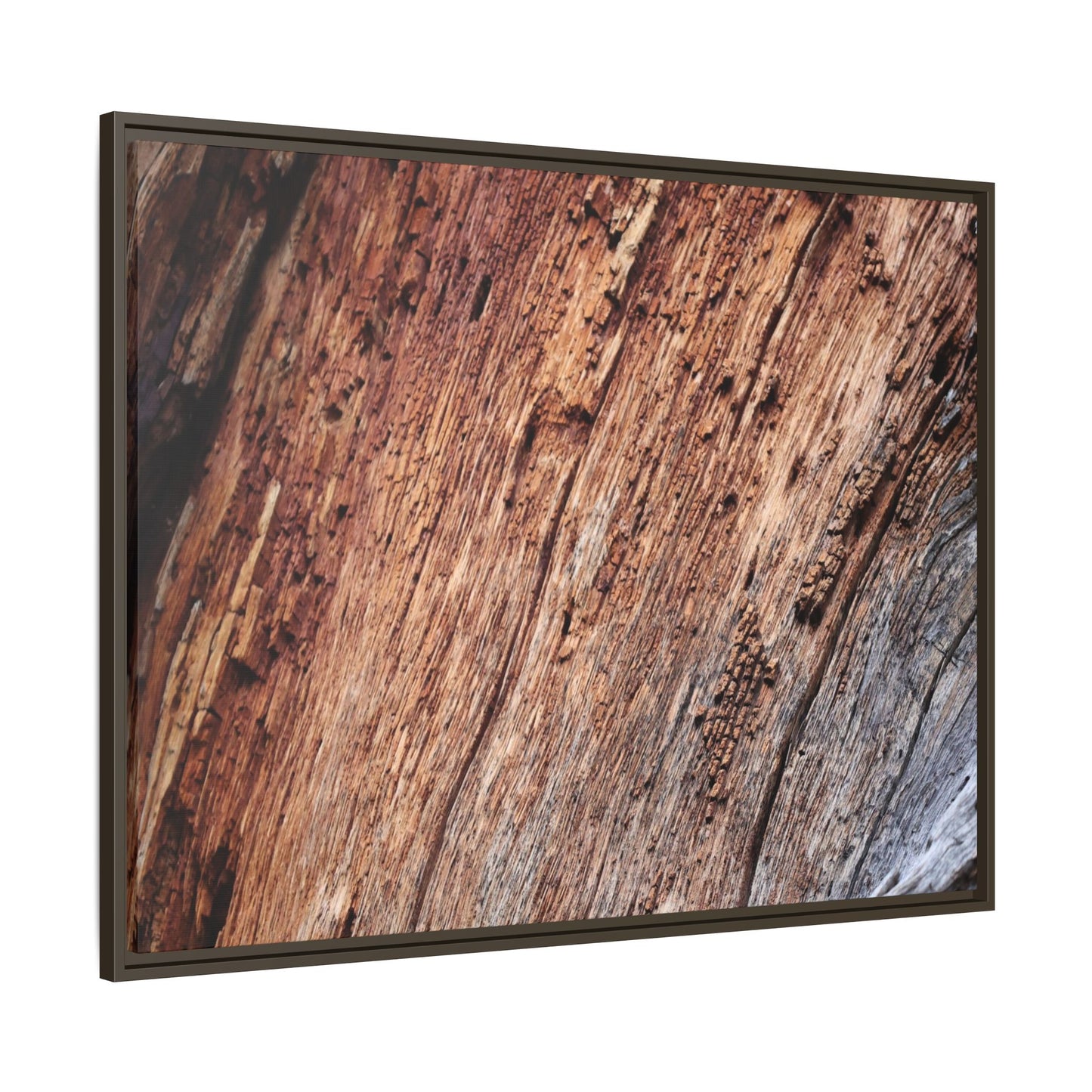 Time's Mark - Unique Stretched Canvas Wall Art - Art By Earth