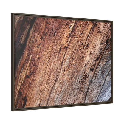 Time's Mark - Unique Stretched Canvas Wall Art - Art By Earth