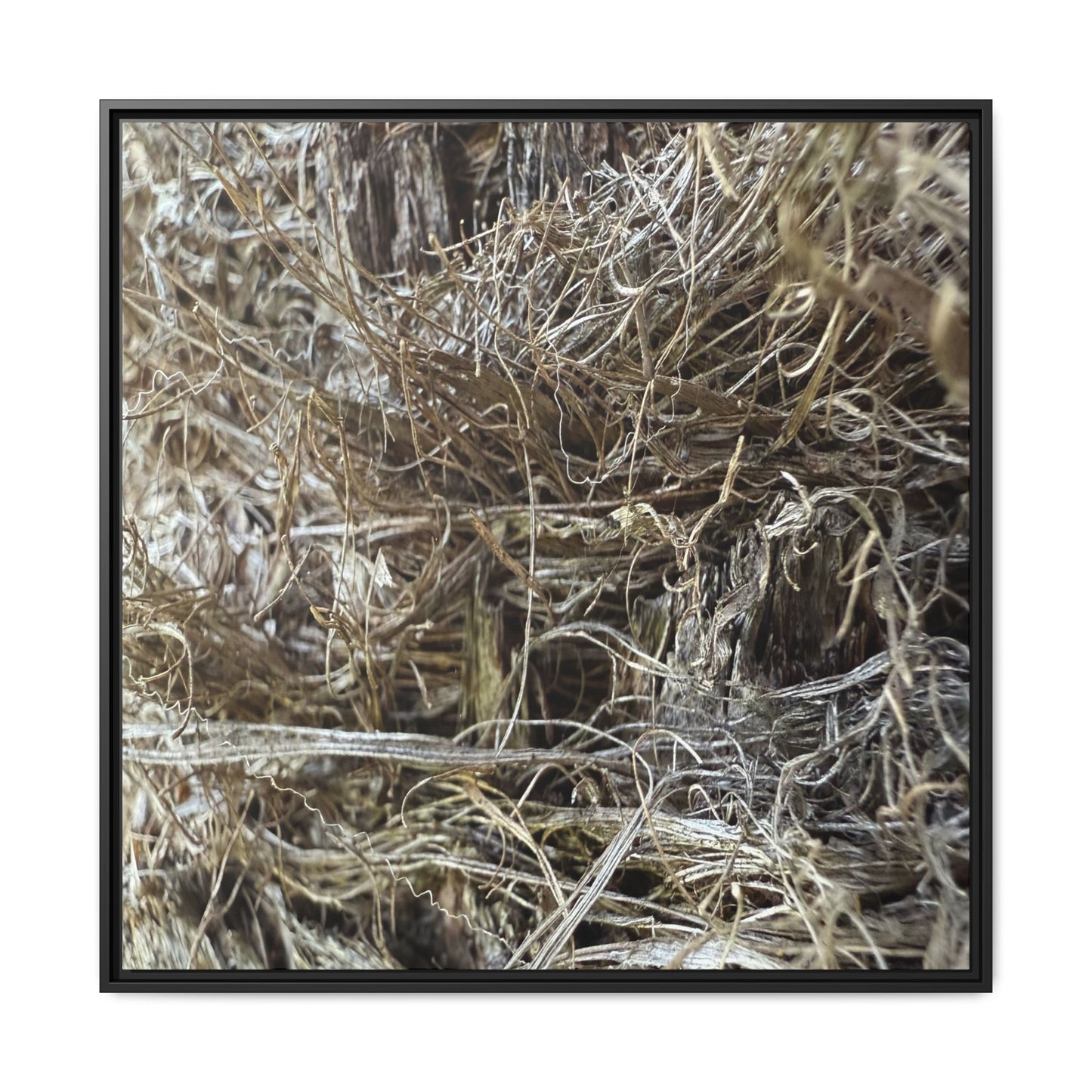 Tangled Whispers of Autumn - Unique Stretched Canvas Wall Art - Art By Earth